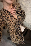 leopard-v-neck-brushed-knit-top